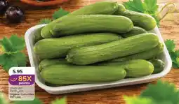 Lulu Hypermarket Organic cucumber offer