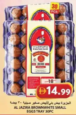 Grand Hyper Market Al jazira brownwhite small eggs tray offer