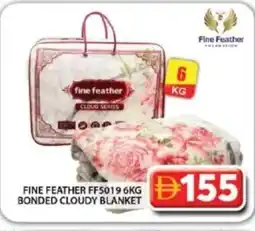 Grand Hyper Market Fine feather ff5019 bonded cloudy blanket offer