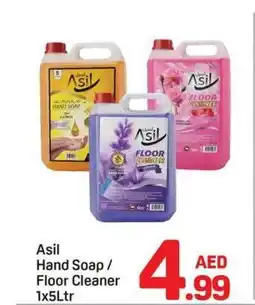 Day To Day Asil hand soap/ floor cleaner offer