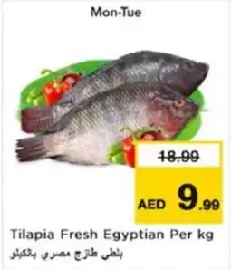 Nesto Tilapia Fresh Egyptian offer