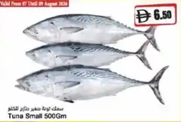 Almaya supermarket Tuna Small offer