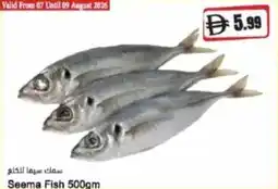 Almaya supermarket Seema Fish offer