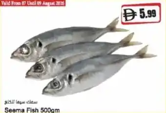 Almaya supermarket Seema Fish offer