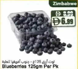 Almaya supermarket Blueberries offer
