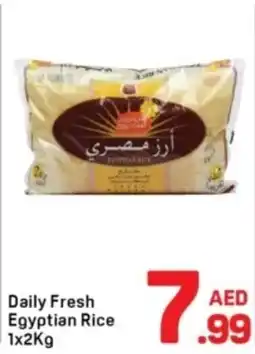 Day To Day Daily Fresh Egyptian Rice offer