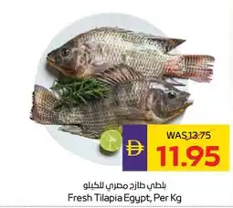 Abu Dhabi Coop Fresh Tilapia Egypt offer