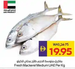 Abu Dhabi Coop Fresh Mackerel Medium UAE offer