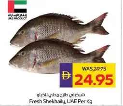 Abu Dhabi Coop Fresh Shekhaily, UAE offer