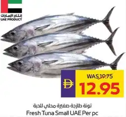 Abu Dhabi Coop Fresh Tuna Small UAE offer