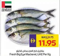 Abu Dhabi Coop Fresh Big Eye Mackerel, UAE offer