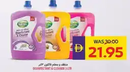 Abu Dhabi Coop Disinfectant & cleaner offer