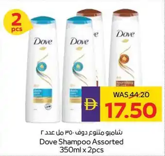 Dove Shampoo Assorted