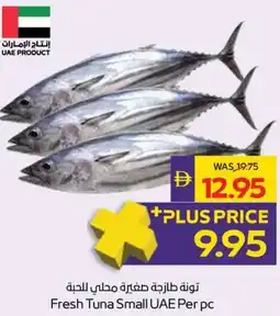 Abu Dhabi Coop Fresh Tuna Small UAE offer
