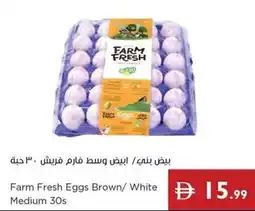 Istanbul Supermarket Farm Fresh Eggs Brown/ White Medium 30s offer