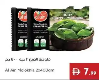 Istanbul Supermarket Al Ain Molokhia offer