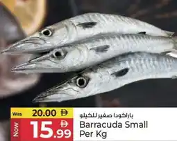 Kenz Hypermarket Barracuda Small offer