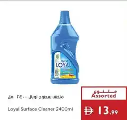 Istanbul Supermarket Loyal Surface Cleaner offer