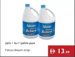 Istanbul Supermarket Falcon Bleach offer