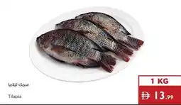 Istanbul Supermarket Tilapia offer