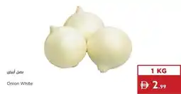 Istanbul Supermarket Onion White offer