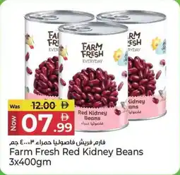 Kenz Hypermarket Farm fresh red kidney beans offer