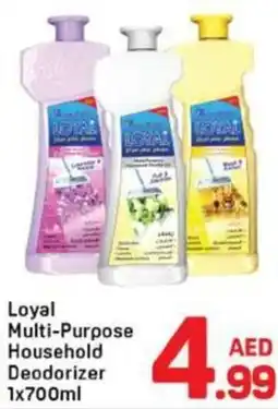 Day To Day Loyal Multi-Purpose Household Deodorizer offer