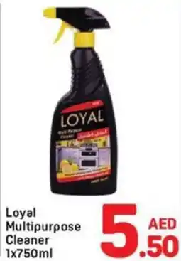 Day To Day Loyal Multipurpose Cleaner offer