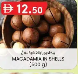 KM Trading Macadamia in shells offer
