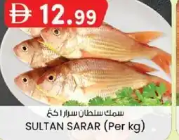 KM Trading Sultan sarar offer