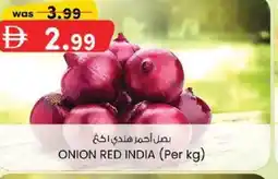 KM Trading Onion red india offer