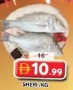 Grand Mall Sharjah Sheri offer