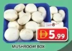 Grand Mall Sharjah Mushroom box offer