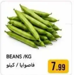 Rawabi Market Beans offer