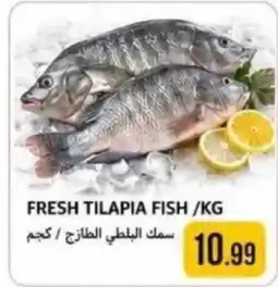 Rawabi Market Fresh tilapia fish offer