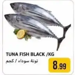 Rawabi Market Tuna fish black offer
