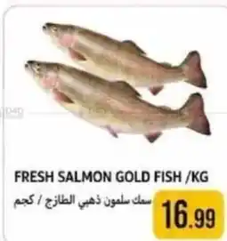 Rawabi Market Fresh salmon gold fish offer