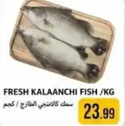 Rawabi Market Fresh kalaanchi fish offer