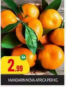 Bigmart Mandarin nova africa offer