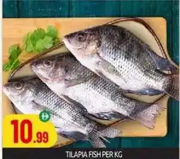 Bigmart Tilapia fish offer