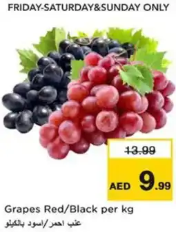 Nesto Grapes Red/Black offer