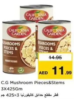 Nesto C.G Mushroom Pieces&Stems offer