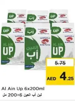 Nesto Al Ain Up offer