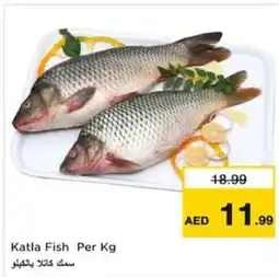 Nesto Katla Fish offer