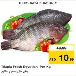 Nesto Tilapia Fresh Egyptian offer