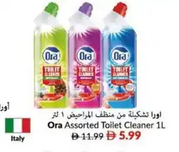 Viva Ora Assorted Toilet Cleaner offer