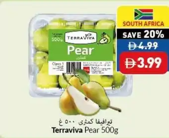 Viva Terraviva Pear offer