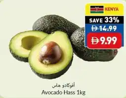 Viva Avocado Hass offer