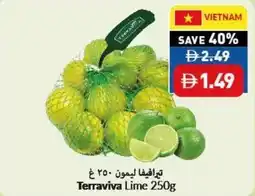 Viva Terraviva Lime offer