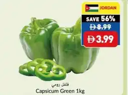 Viva Capsicum Green offer